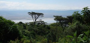 Kraterrand des Ngorongoro