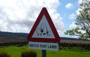 Straßenschild in Schottland